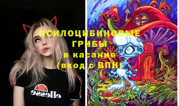 МДМА Козельск