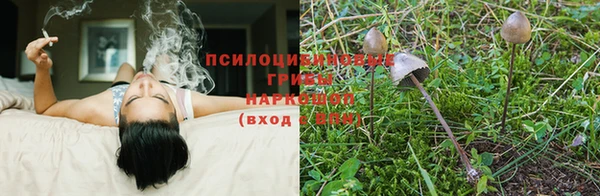 2c-b Коряжма